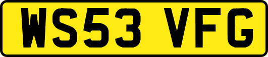 WS53VFG