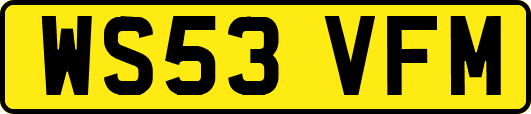 WS53VFM