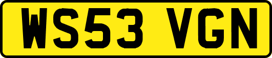 WS53VGN