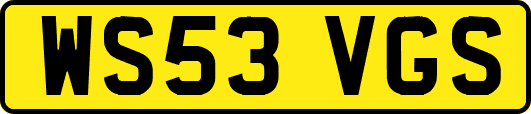 WS53VGS