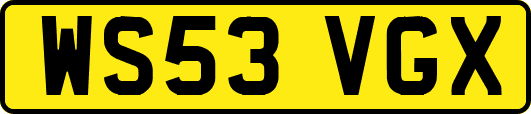 WS53VGX