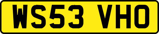 WS53VHO