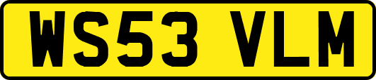 WS53VLM