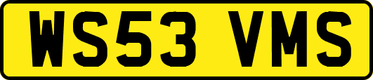 WS53VMS
