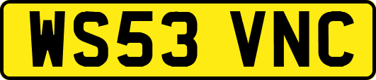 WS53VNC