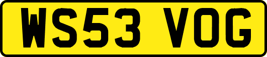 WS53VOG