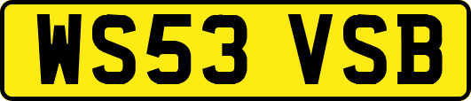 WS53VSB
