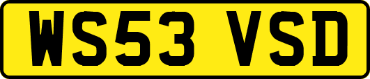 WS53VSD