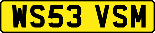 WS53VSM