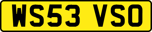 WS53VSO