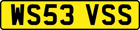 WS53VSS
