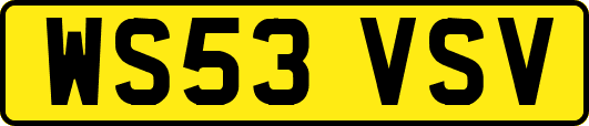 WS53VSV