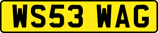 WS53WAG
