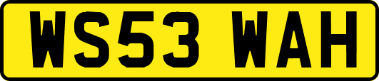 WS53WAH