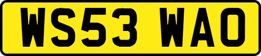 WS53WAO