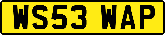 WS53WAP