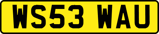 WS53WAU