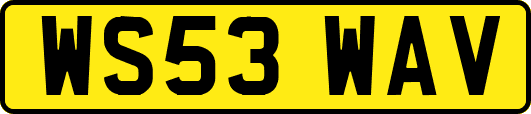 WS53WAV