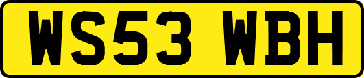 WS53WBH