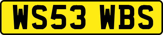 WS53WBS