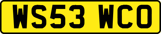 WS53WCO