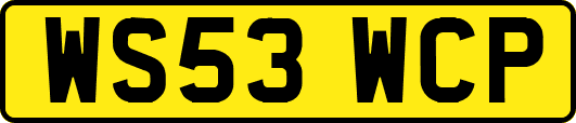 WS53WCP