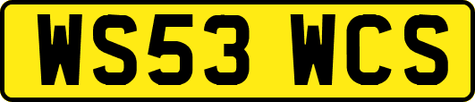 WS53WCS
