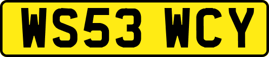 WS53WCY