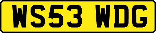 WS53WDG