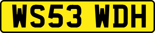 WS53WDH