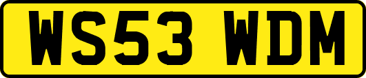 WS53WDM