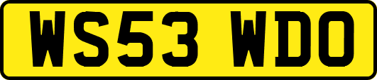 WS53WDO