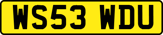 WS53WDU