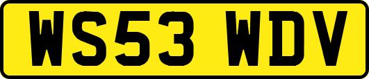 WS53WDV