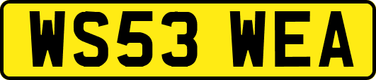 WS53WEA