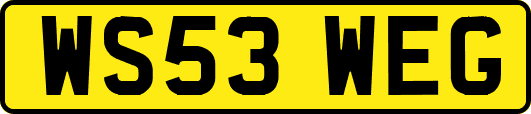 WS53WEG