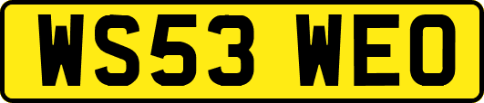 WS53WEO