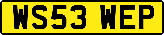 WS53WEP