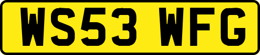 WS53WFG