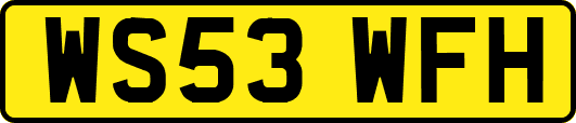 WS53WFH