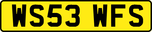 WS53WFS