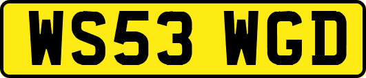 WS53WGD