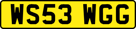 WS53WGG