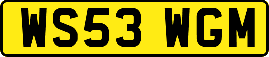 WS53WGM