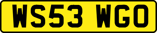 WS53WGO