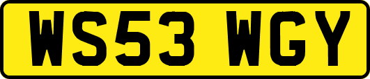 WS53WGY