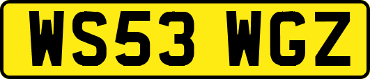 WS53WGZ