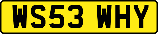 WS53WHY