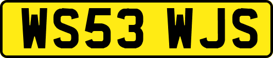 WS53WJS