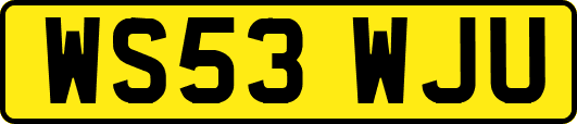 WS53WJU